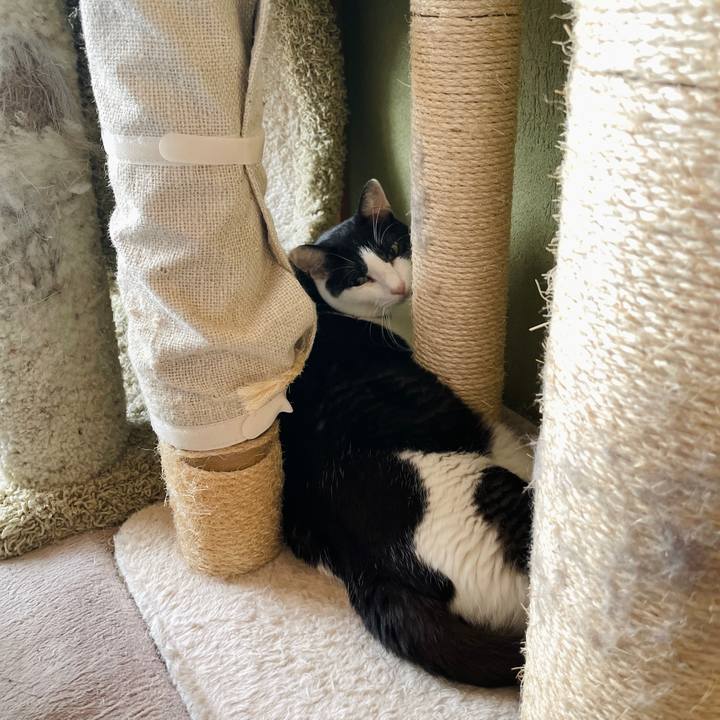 8e45548d e890 4396 a66d c93c7b0e03f6 1664762250210