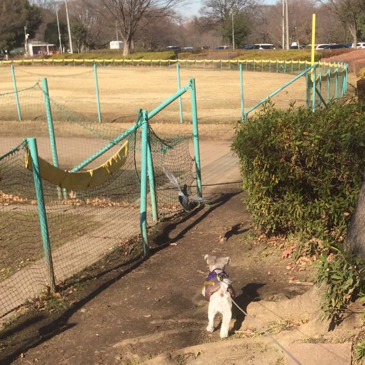 8e456ddd 136e 47f2 b963 f073cc410ed6 1513577812641