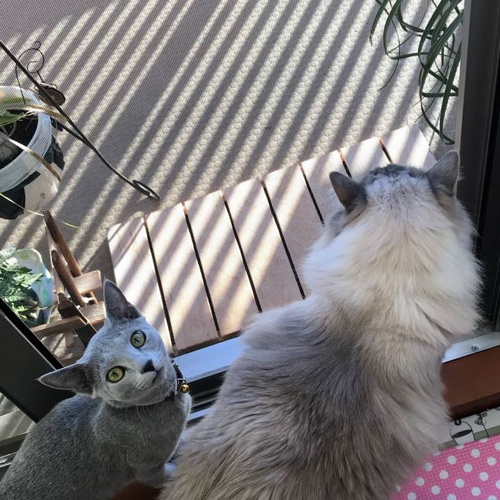 8e45730f 94c0 48df b38a 3cde3ca1725a 1515105181921