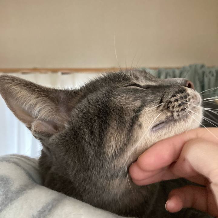 8e458861 5a41 4ff2 ac3e 42d26f30a87e 1602801485894