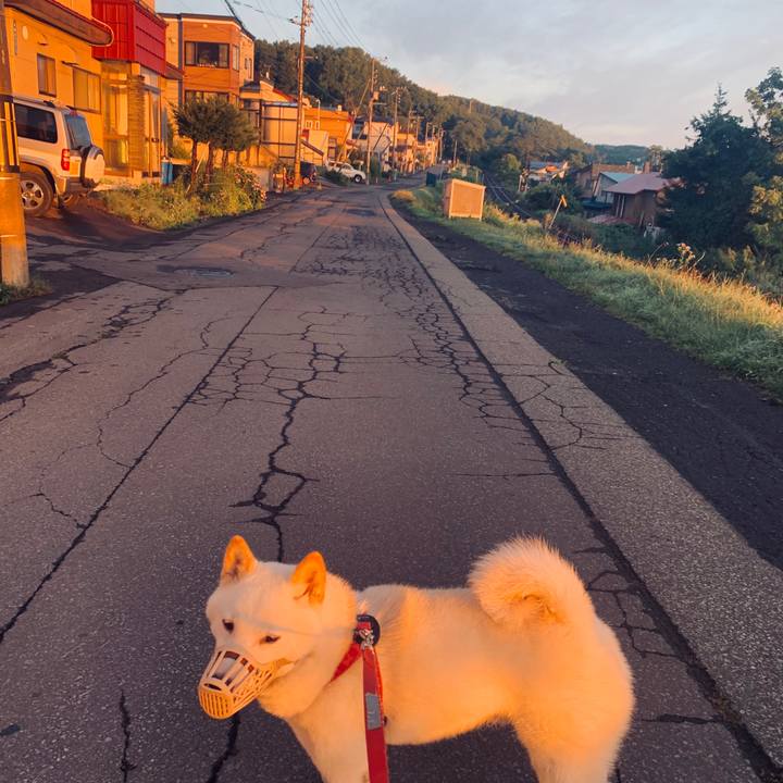 8e45b046 f8a8 4cc6 bb1b 4477693b43f3 1566336057945