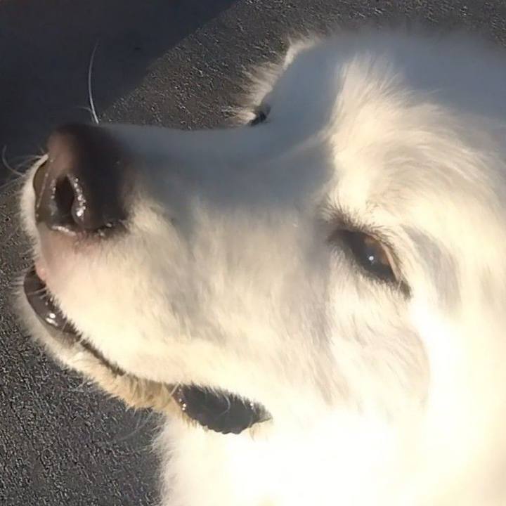 8e45d706 d723 4e26 91a2 f8f2d0443243 1676679106507