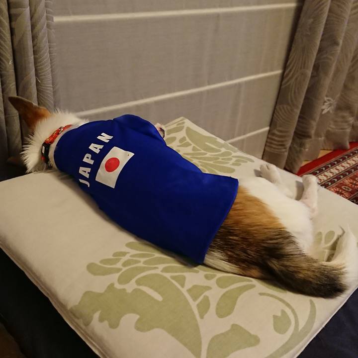 8e45f1ab 5d1a 498e ae4b 6c6dbfd826d5 1530697753642