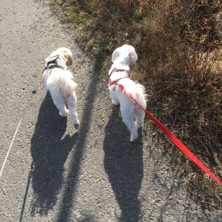 8e4604fa 906c 407a b287 800ce17d9612 1511664628589