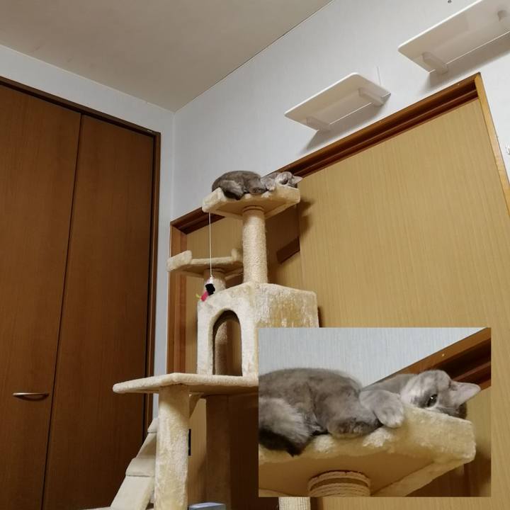 8e460ebc 0ce7 48a9 8bf2 5109bc80dcc3 1548683152940