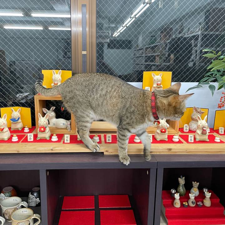 8e467970 29ea 4bce 9a9e 1d0781212384 1670596301947