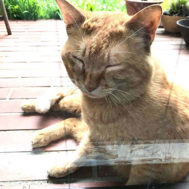 8e46b06a e77a 4c42 a94b a4aa5e3c76d5 1620266762324