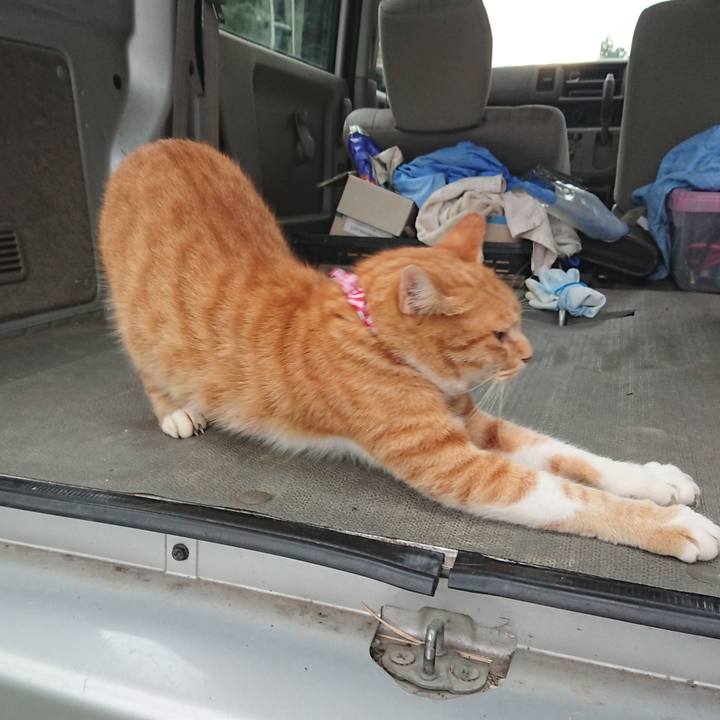 8e46bcf9 1de3 4427 b65b 2c63a7cbe441 1597392965314