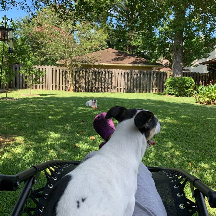 8e46d14a 467a 4ee4 9cdd cd67f212b8cf 1595541807443