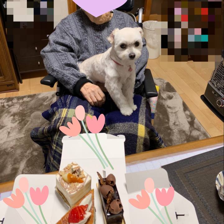 8e46dc93 2e8a 4d53 a7ba 3fcffa32dee3 1605513490271