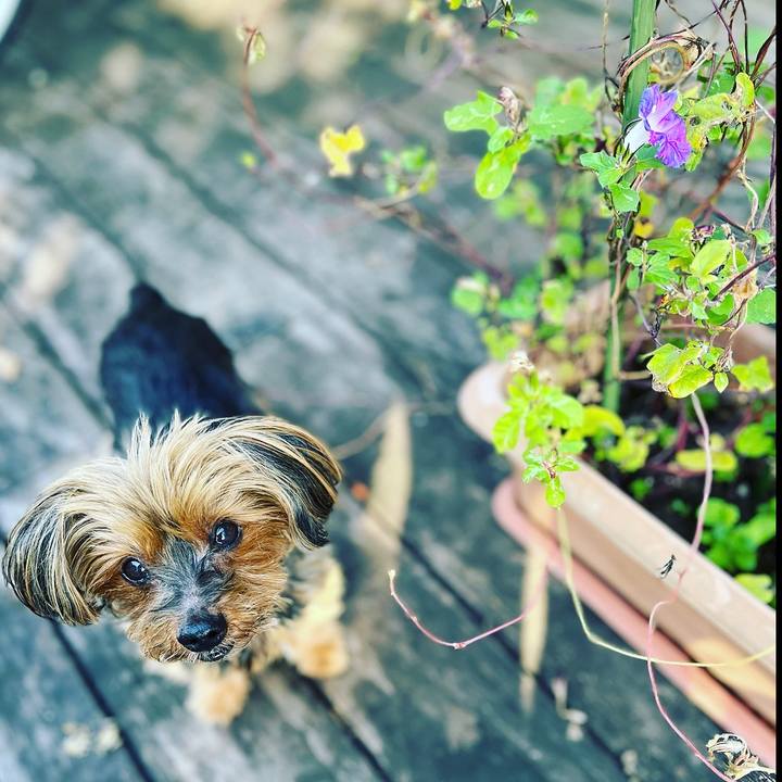 8e471440 600a 459b 9f12 1828b9943b13 1667431949668