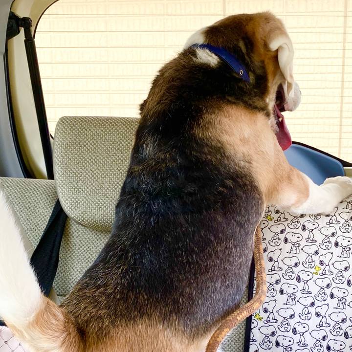 8e473bf7 14d4 412d b24c 0eafc09d34d8 1591676870616