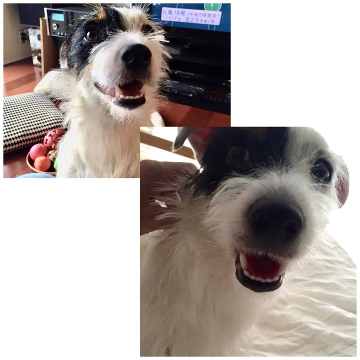 8e47437b 140d 4839 8e47 983104971955 1599540809772