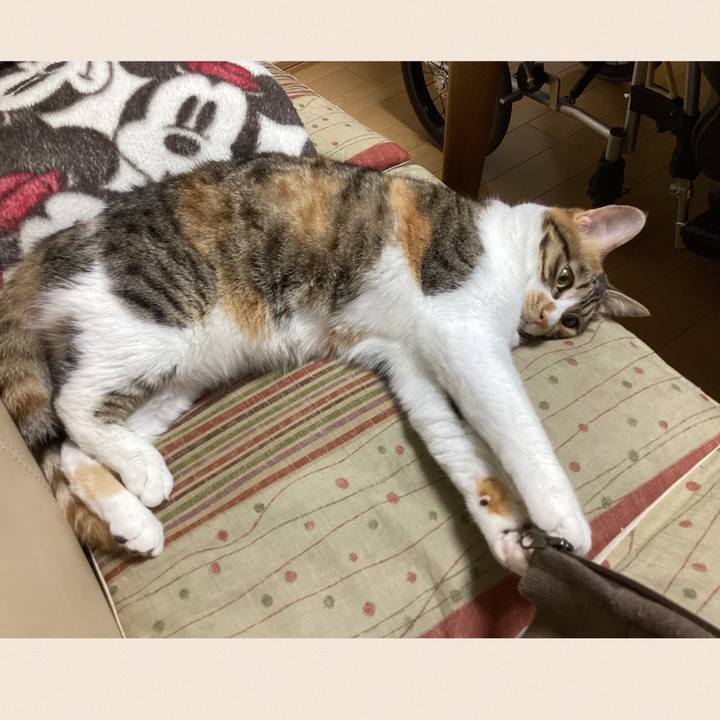 8e4786d9 b8d7 4f0f 9214 d18334634393 1652354112964