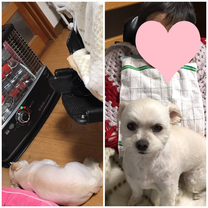 8e47a62e e65e 47d2 a093 adcdfce8fcc3 1555388626601