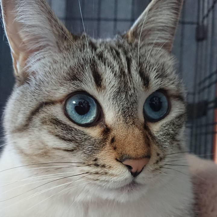 8e47cb97 8a7f 48d1 bfa4 fab0feab4371 1555115993394