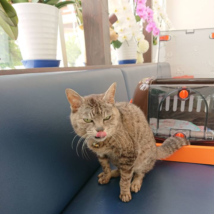 8e47e1c7 22d6 44bd 88b9 68e2c70c8bab 1590912118825