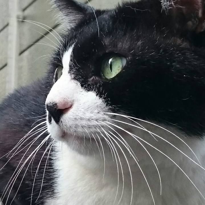 8e47e57b fae9 437f b509 554551e38149 1514645602552