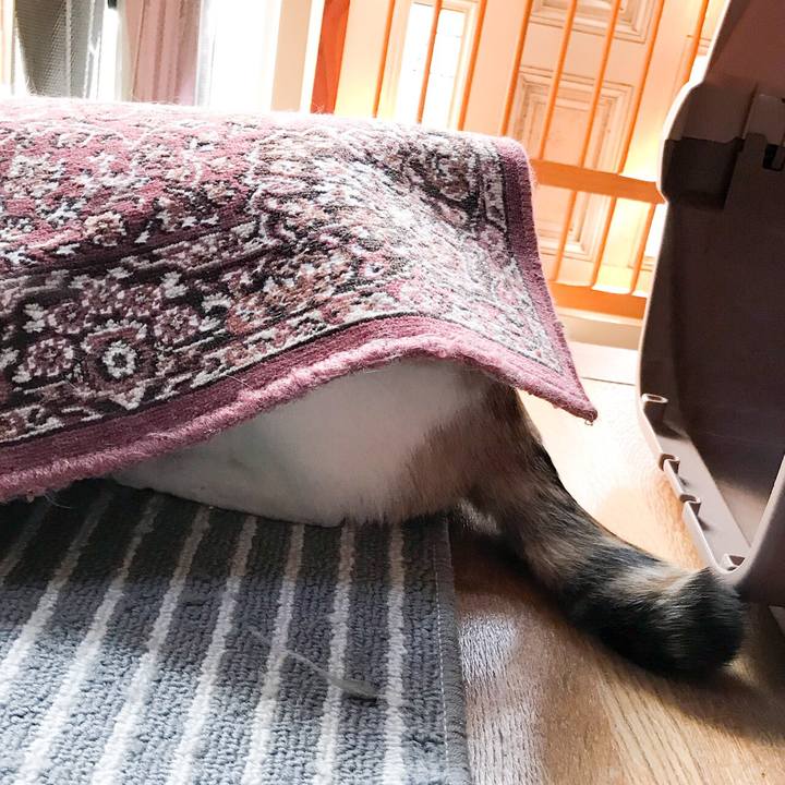 8e47f589 9fb1 4fef b56a e16fb87ae842 1524457545582