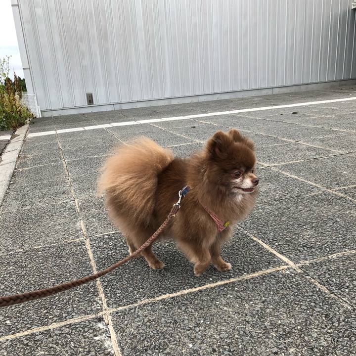 8e47f825 ec5d 4ffa 820e c742e8d808e2 1562894737670