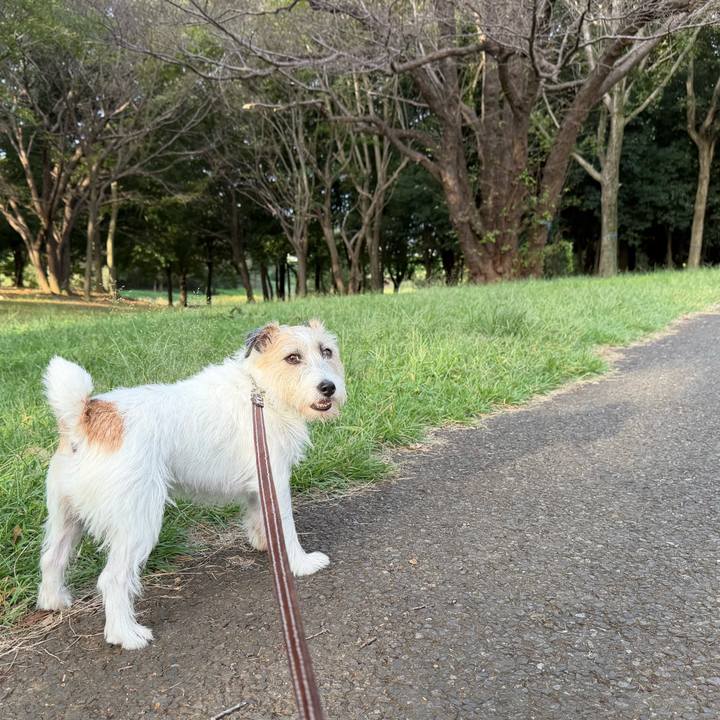 8e483bf6 9bcd 44b7 85d4 fadde2c9d1c6 1760094216779