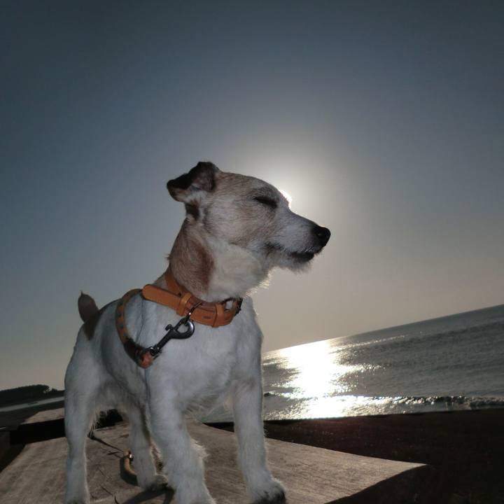 8e484608 6a36 4224 867d 76e7beba9a4d 1551002936286