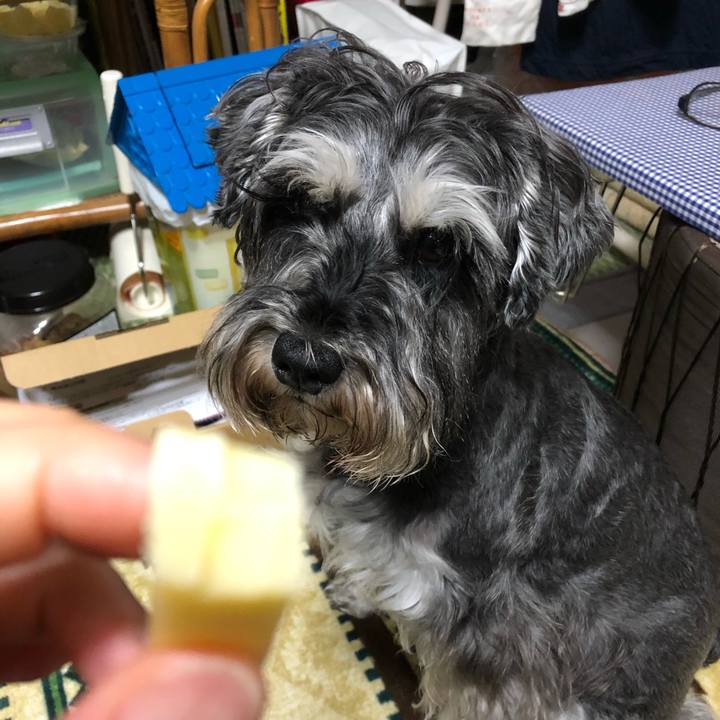 8e484cf0 543b 4d92 9c70 861f6e031cfa 1621420941409