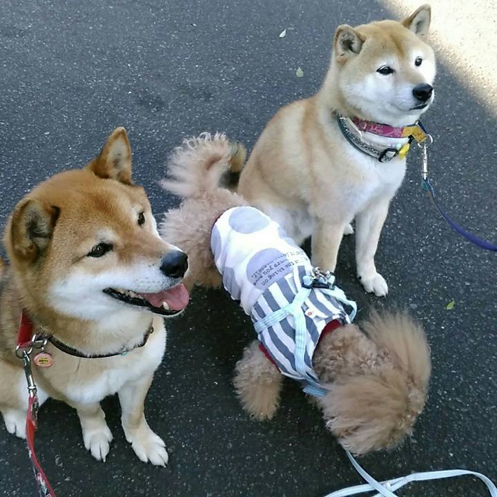 8e485539 46ce 4999 8efa eedd951033f3 1557320210085