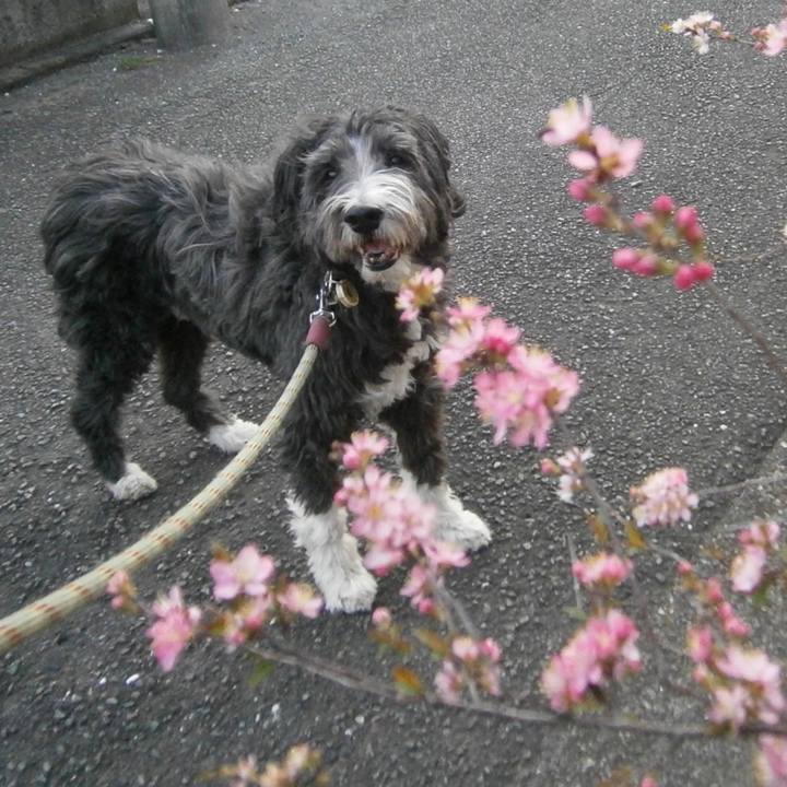 8e4858bc 35f6 46d9 9722 5c204f801dde 1519607391423