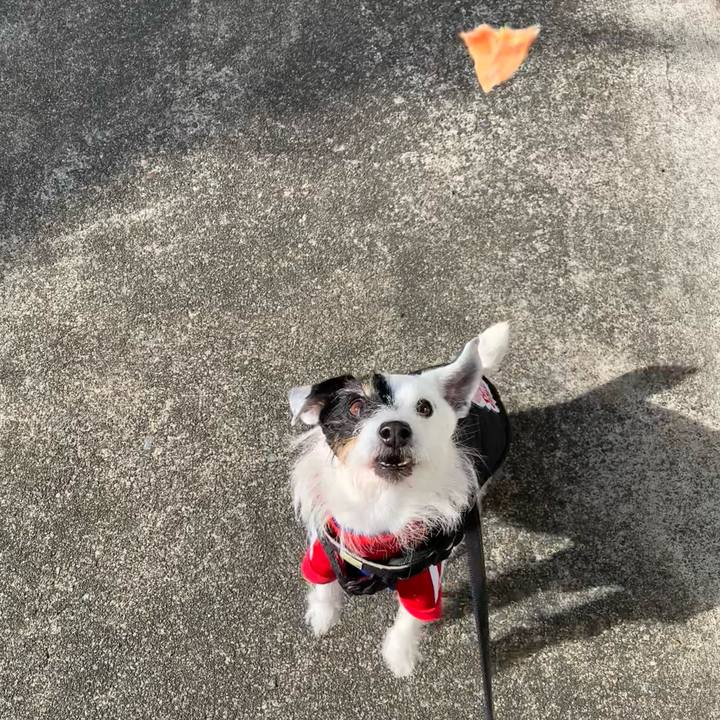 8e48593c 5dc2 4f13 ac0c b113bc60d33d 1736648304420