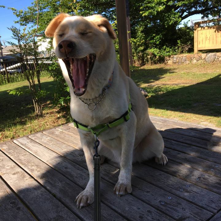 8e489702 81e8 48b7 83a3 09c2a4c1d534 1527115265758