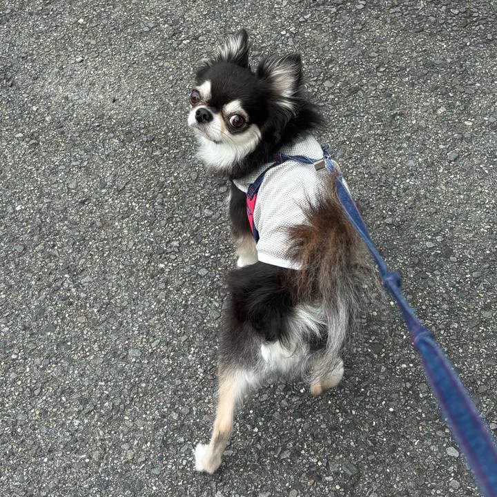 8e48975d 495e 4d69 9ca2 fbf5f029856a 1722095006868