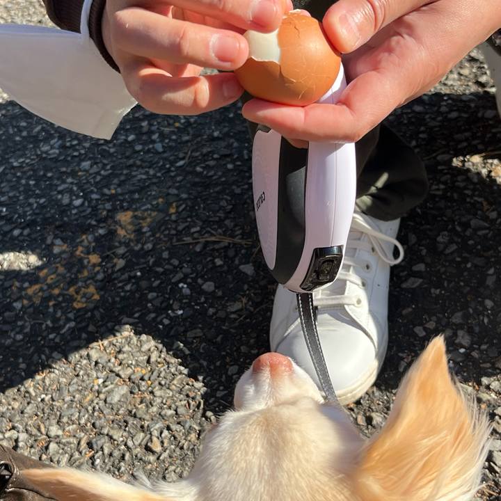 8e489fa2 0e6c 4b8b 9cb3 ef2758283c23 1736167999557