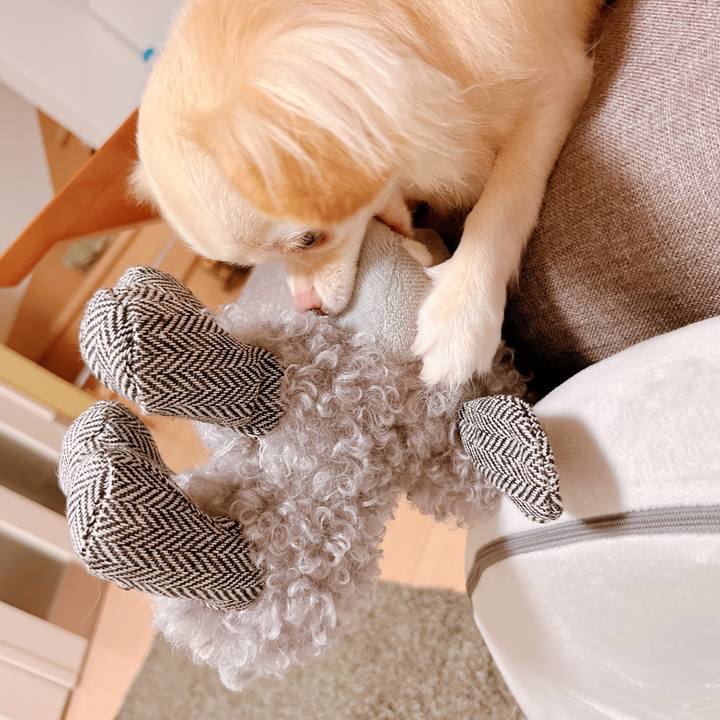 8e48b803 b66b 4051 afcd e9040969ef0d 1661304379833