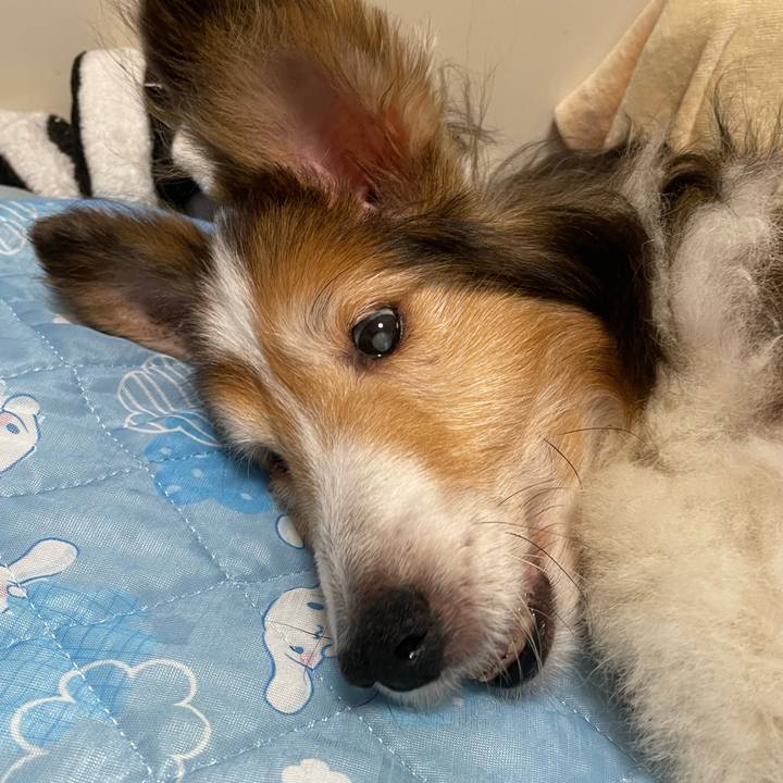 8e48c970 73b0 46f3 b90c eea2b2094b9e 1658050871894