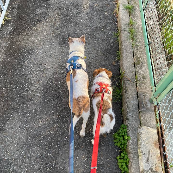 8e48cdda 5511 45da 9371 503033994a44 1669504228218