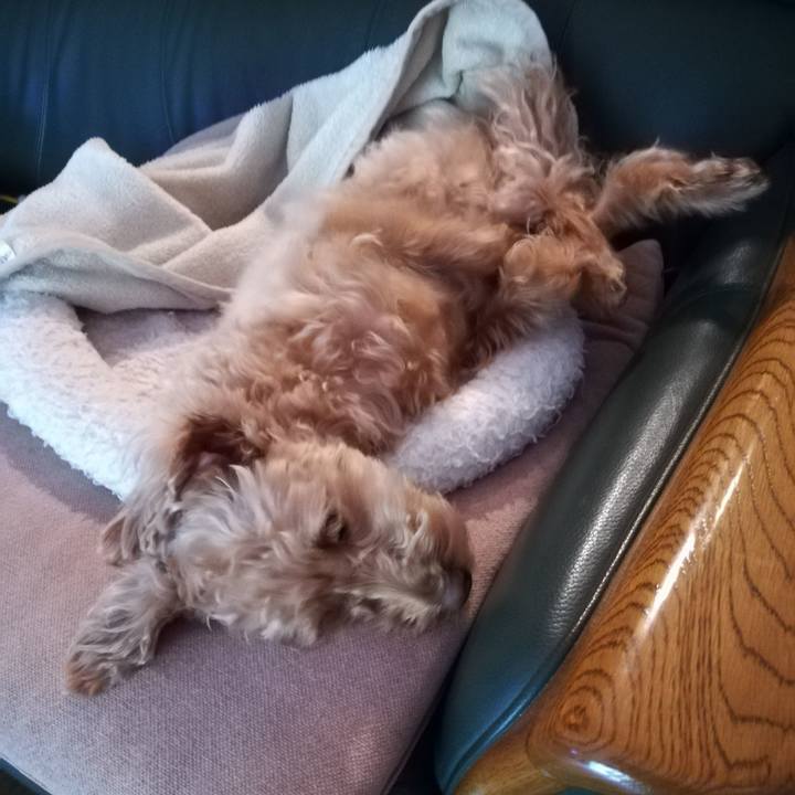 8e492e65 fe48 4e42 85ce 5cea531d757f 1557185811478