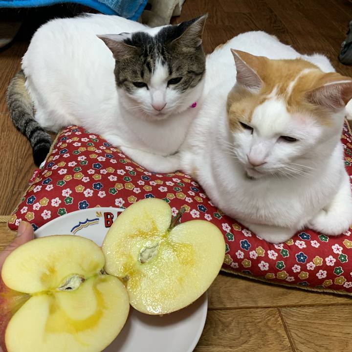 8e494281 c2be 47dc 8b99 9413c6d5ec0c 1576326515190