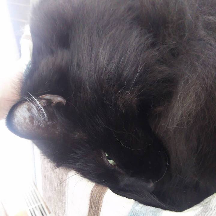 8e495ba5 2a34 483a baf5 7f167c8301fc 1546569281121