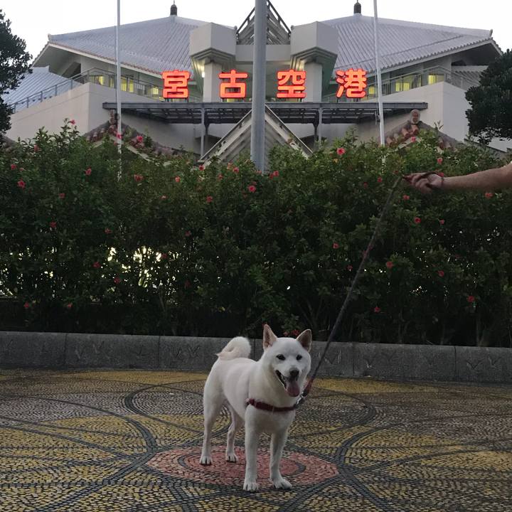 8e497229 5f37 4ae3 b857 6493c76ed1d1 1537526377810