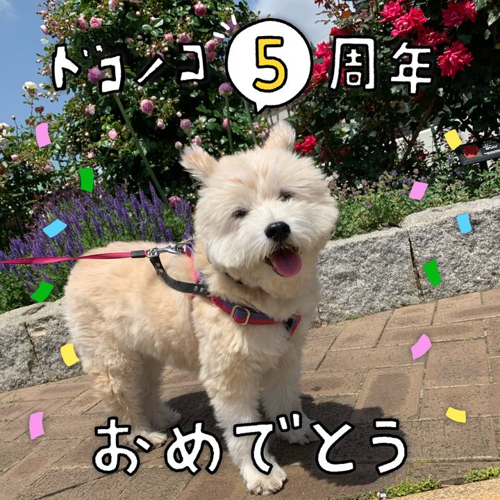 8e497ef4 5872 4554 8f4c 5b3ded949455 1622874702877