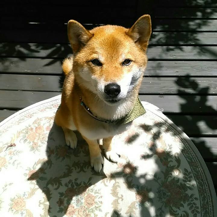 8e49f292 3fc5 4e1c ad85 3f603b0877bf 1533006421607