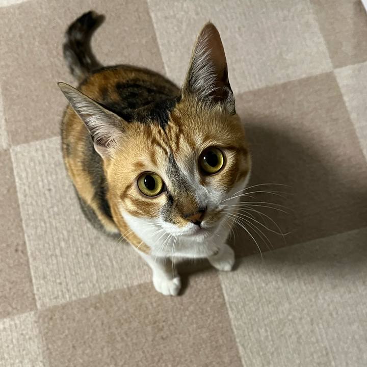 8e49fa71 a08d 4b28 bedc 03263c049756 1677018937792