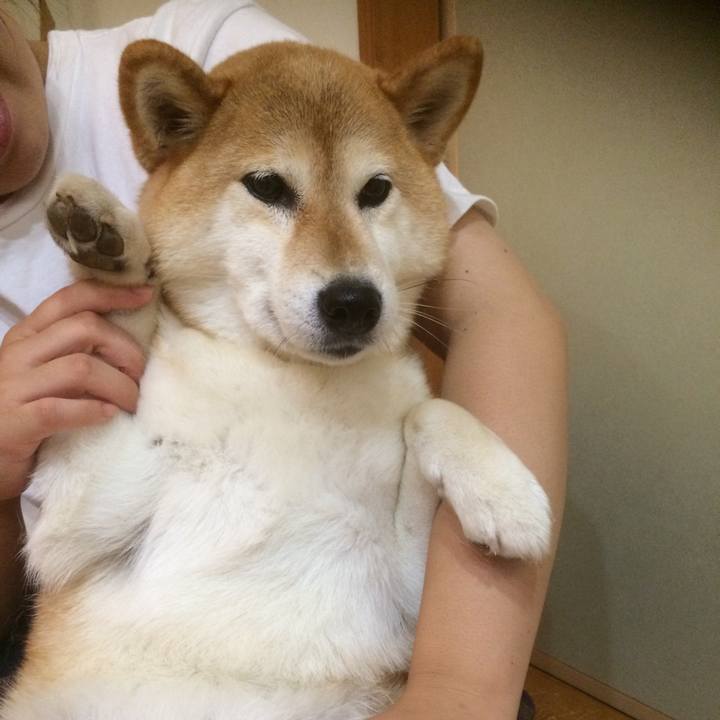 8e4a0629 9494 4dd7 8701 2fef15d5c012 1536410456140