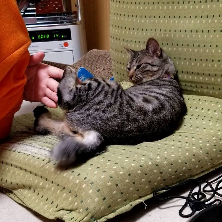 8e4a4dff a053 42a6 889c 12d447d658f8 1683629855652