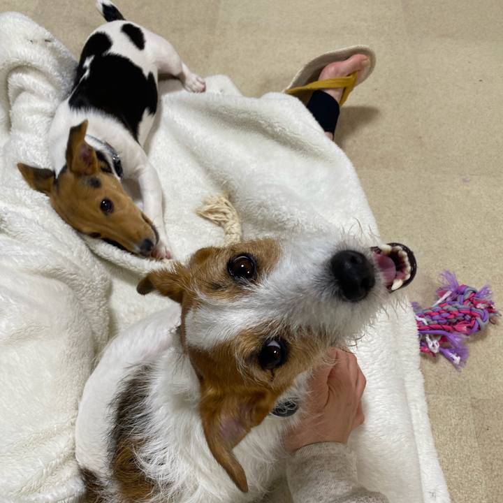 8e4a5856 783a 4901 bd13 6b53ec36955d 1748265629108