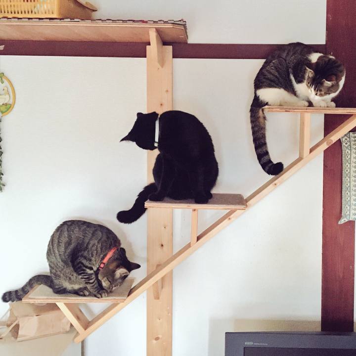 8e4a63e3 d203 4f2a 841a 37abc07f0627 1519864196288