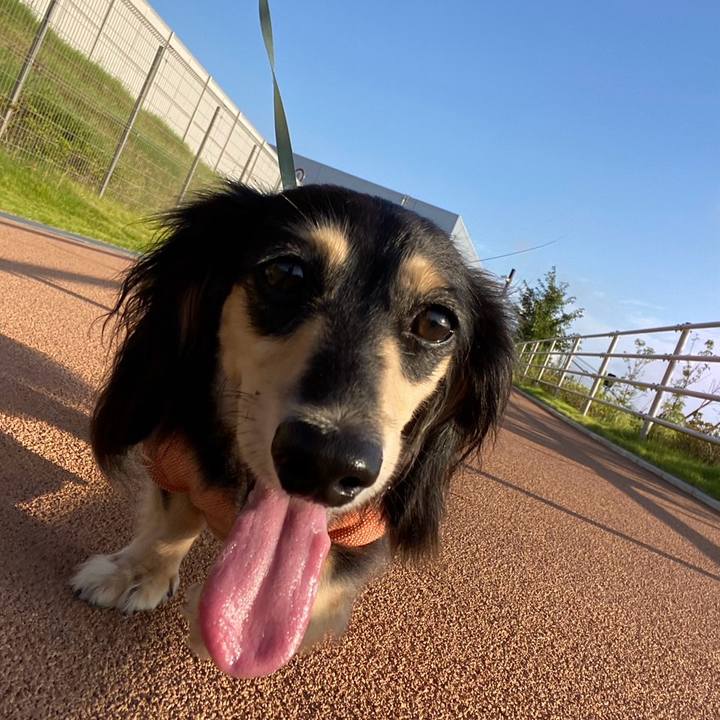 8e4a9022 a62d 4bdb baff 7e6ad51ae6b6 1725836372321