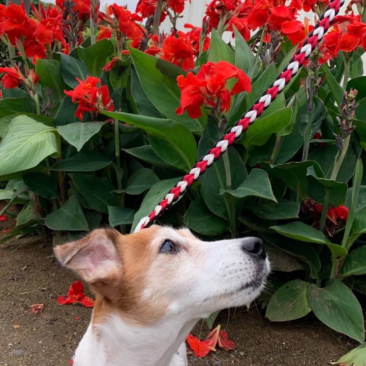 8e4a9f4f 149e 44f8 ad4e 32628b85c31a 1602682924471