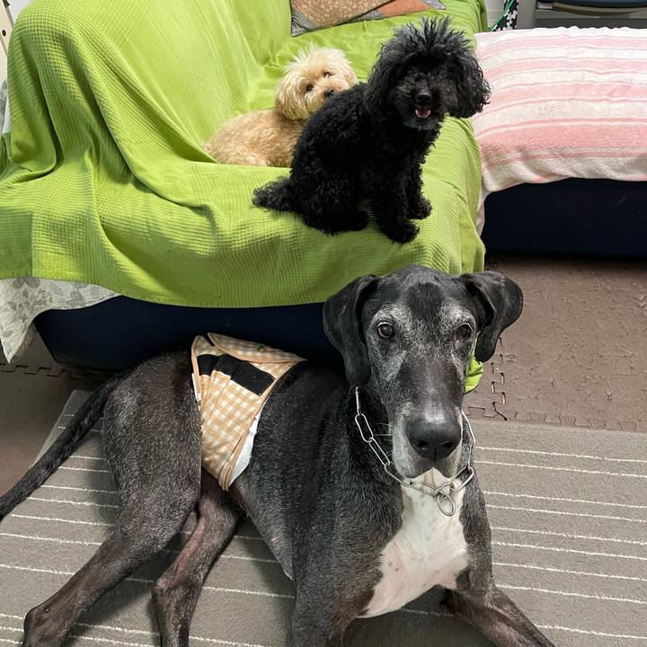 8e4a9ffe c791 4b87 9c8f 56f093e90d17 1625525286849